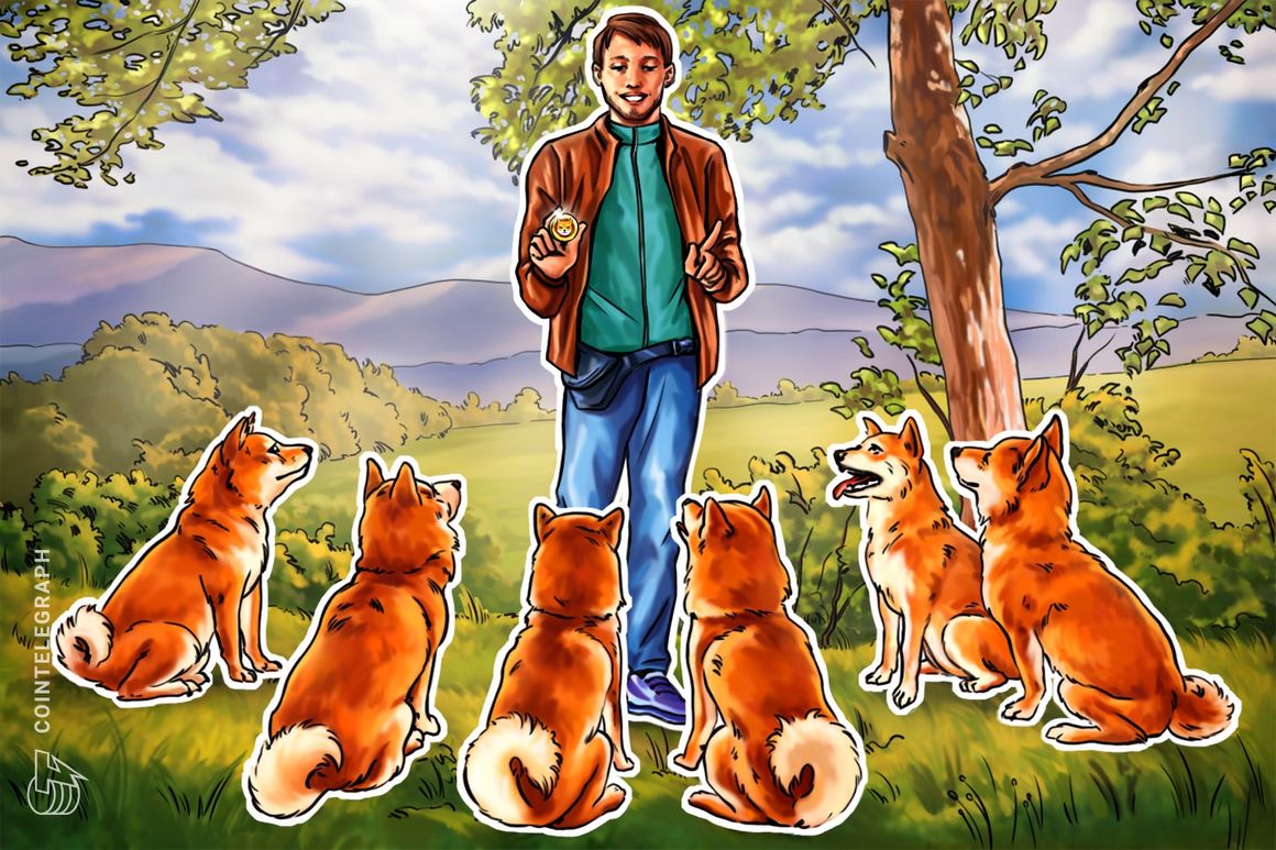 Shiba Inu’s Shibarium Network resumes block production after brief pause