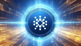 Cardano ADA whales Small